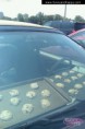 /album/stipne-a-srandovni-obrazky/baking-in-the-hot-car-cuisson-dans-la-voiture-chaude-backen-im-heissen-auto-peceni-v-rozpalenem-aute-jpg/